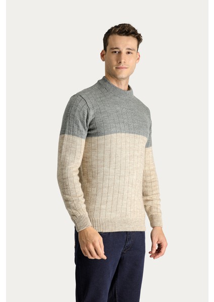 Bisiklet Yaka Slim Fit Dar Kesim Desenli Triko Kazak fiyatları