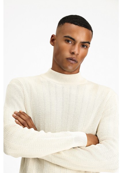 Yarım Balıkçı Yaka Slim Fit Dar Kesim Desenli Pamuklu Triko Kazak