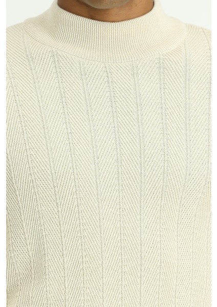 Yarım Balıkçı Yaka Slim Fit Dar Kesim Desenli Pamuklu Triko Kazak indirimleri