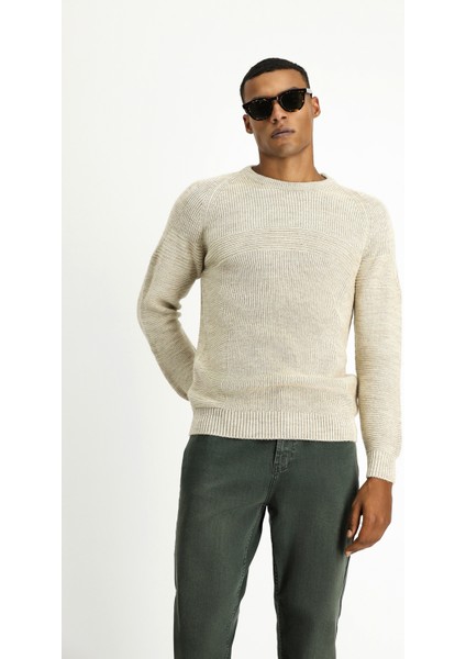 Bisiklet Yaka Regular Fit Dikişsiz Desenli Triko Kazak fiyatları