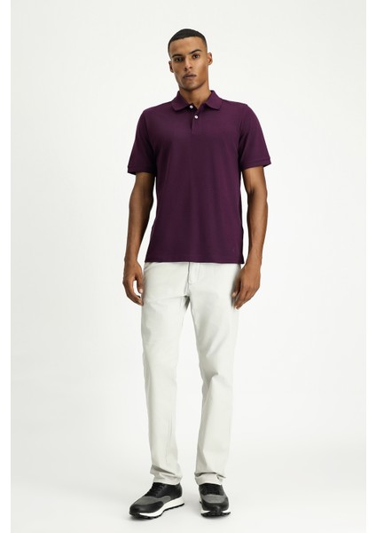 Polo Yaka Regular Fit Nakışlı Pamuk Tişört fiyatları