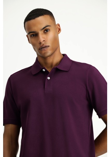 Polo Yaka Regular Fit Nakışlı Pamuk Tişört modelleri