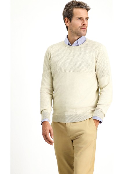 Bisiklet Yaka Slim Fit Dar Kesim Desenli Pamuklu Triko Kazak