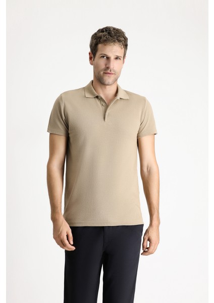 Polo Yaka Regular Fit Nakışlı Pamuklu Tişört modelleri