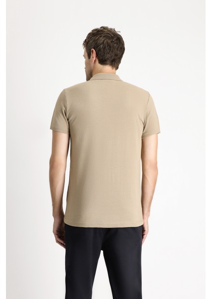 Polo Yaka Regular Fit Nakışlı Pamuklu Tişört indirimleri