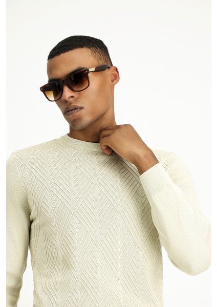 Bisiklet Yaka Slim Fit Dar Kesim Desenli Pamuklu Triko Kazak fiyatları