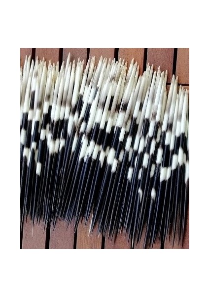 Kirpi Dikeni Oku-Orta boy (15-19.99cm arası, Rölyef sanatına uygun-1 Adet fiyatları