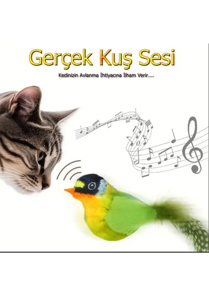 Esnek Yapılı Kuş Sesi Çıkartan Oyuncak Kuş Kedi Oyuncağı 13X5 fiyatları