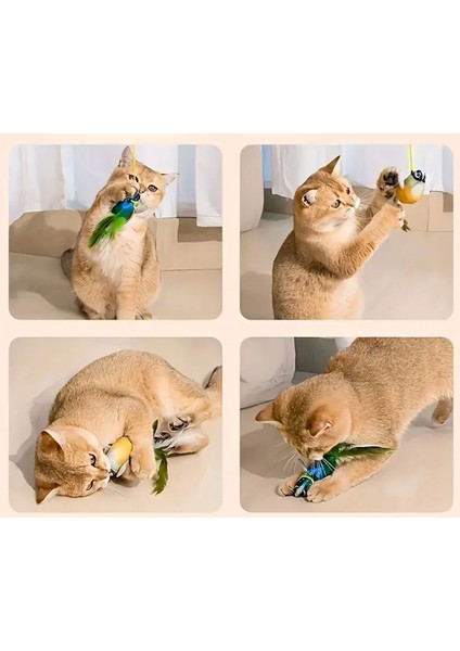 Esnek Yapılı Kuş Sesi Çıkartan Oyuncak Kuş Kedi Oyuncağı 13X5 fırsatları