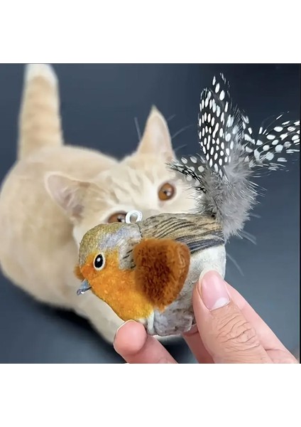 Esnek Yapılı Kuş Sesi Çıkartan Oyuncak Kuş Kedi Oyuncağı 13X5