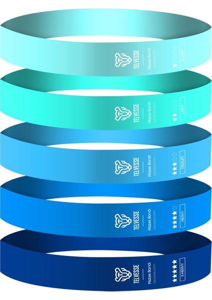 5’li Pilates Direnç Bandı Seti Taşıma Çantalı Lateks Egzersiz Squat Fitness Loop Bant