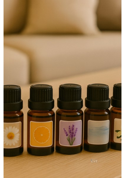 Hava Nemlendiricisi Buhar Makineleri Banyo Spa Koku Esansı 10ML Koku Rastgele Seçilecektir