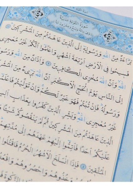 Kuranı Kerim Orta Boy Renkli Bilgisayar Hattı Ali El Kari Imlası (Mavi) fırsatları