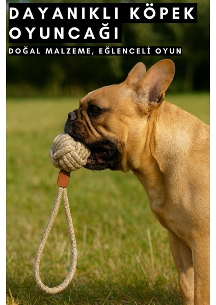 Köpek Oyun Topu Ipli Sağlam ve Kopmaz Yapıda Köpek Oyuncağı Casapetra