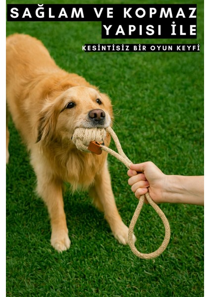 Köpek Oyun Topu Ipli Sağlam ve Kopmaz Yapıda Köpek Oyuncağı Casapetra fiyatları