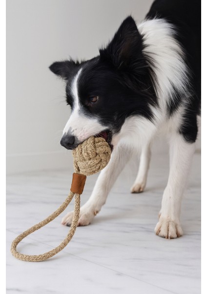 Köpek Oyun Topu Ipli Sağlam ve Kopmaz Yapıda Köpek Oyuncağı Casapetra modelleri