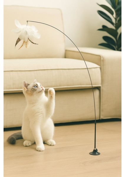 Vantuzlu Kedi Oyun Oltası Tüylü Zilli Kedi Oyuncağı Casapetra fiyatları