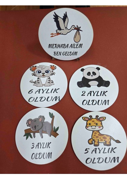 Ahşap Anı Kartları , Eğitici Oyuncak tasarımlı indirimleri