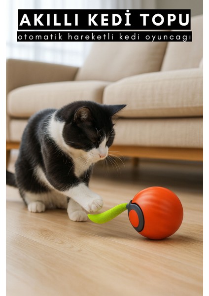 Kedi Oyun Topu Kendinden Hareketli Otomatik Hareketli Top Şarj Edilebilir Casapetra