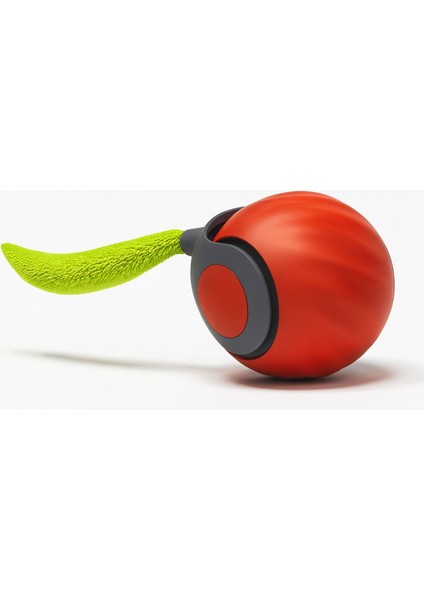 Kedi Oyun Topu Kendinden Hareketli Otomatik Hareketli Top Şarj Edilebilir Casapetra fırsatları