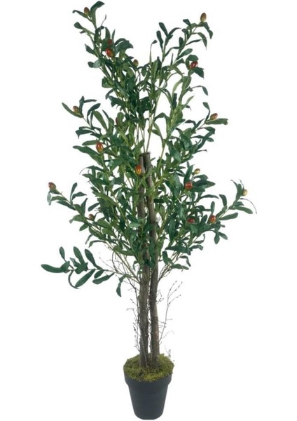 Yapay Zeytin Ağacı 125CM Iki Gövdeli Salex Doğal Gerçek Görünümlü Yapay Ağaç