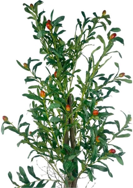 Yapay Zeytin Ağacı 125CM Iki Gövdeli Salex Doğal Gerçek Görünümlü Yapay Ağaç