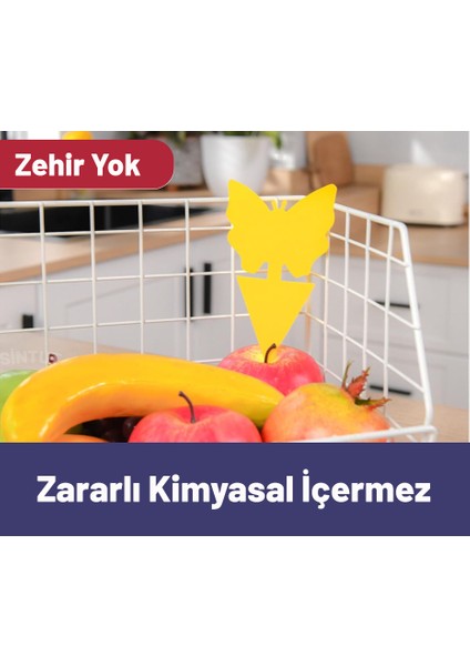 12 Adet Saksı Tipi Yapışkanlı Sinek Tuzağı, Uv Işığı ve Neme Dayanıklı, Çift Taraflı fiyatları