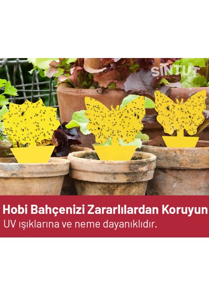 12 Adet Saksı Tipi Yapışkanlı Sinek Tuzağı, Uv Işığı ve Neme Dayanıklı, Çift Taraflı modelleri