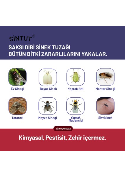 12 Adet Saksı Tipi Yapışkanlı Sinek Tuzağı, Uv Işığı ve Neme Dayanıklı, Çift Taraflı fırsatları