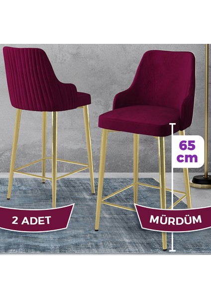 Tera Serisi 2 Adet Mürdüm Babyface Kumaş 65 cm Gold Kaplama Ayaklı Bar Sandalyesi