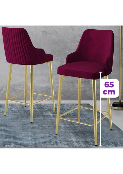 Tera Serisi 2 Adet Mürdüm Babyface Kumaş 65 cm Gold Kaplama Ayaklı Bar Sandalyesi fiyatları