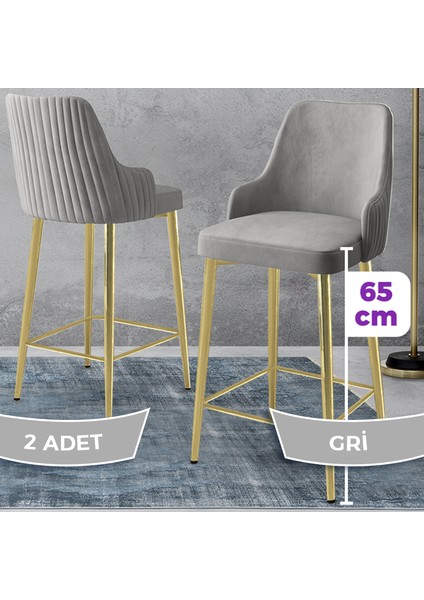 Tera Serisi 2 Adet Gri Babyface Kumaş 65 cm Gold Kaplama Ayaklı Bar Sandalyesi