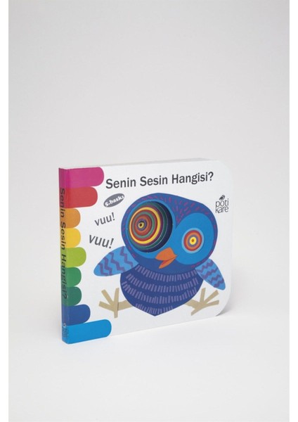 Senin Sesin Hangisi? modelleri