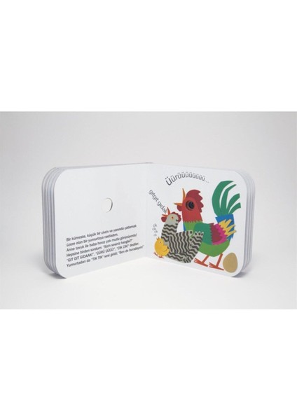 Senin Sesin Hangisi? fırsatları