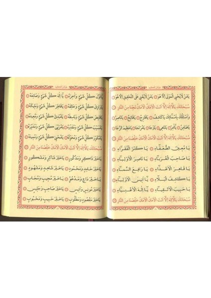 Büyük Cevşen Bediüzzaman Said Nursi Ciltli 285 Sayfa Arapça Eser modelleri