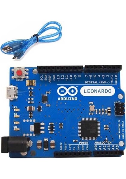 Leonardo R3 + Micro USB Kablo