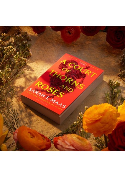 A Court of Thorns and Roses - Sarah J. Maas modelleri