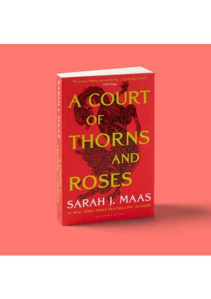 A Court of Thorns and Roses - Sarah J. Maas indirimleri