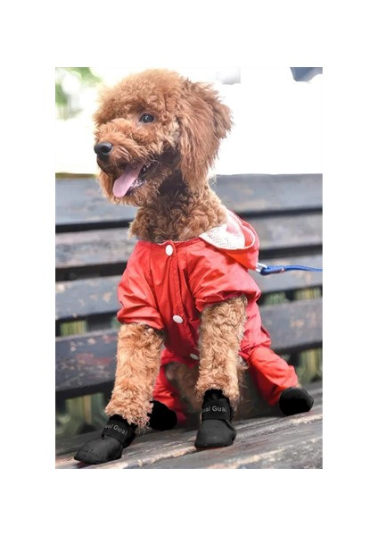 Kedi ve Köpekler Için Pati Ayakkabısı, Silikon Kaymaz Taban Cırt Cırtlı Pati Ayakkabısı indirimleri