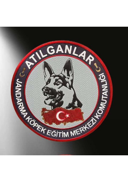 Jandarma Atılganlar 3D Arması, 2025 Yeni Model Tip Cırtlı,standart Ölçü,plastik