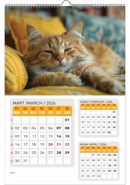 2026 Kedi Duvar Takvimi-1 SAYFADA 3 AY modelleri