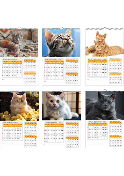 2026 Kedi Duvar Takvimi-1 SAYFADA 3 AY indirimleri