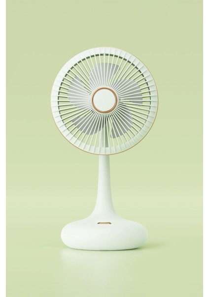 Taşınabilir USB Şarjlı 3 Kademeli Masaüstü Dönebilen Fan Vantilatör Soğutucu YS2531 modelleri