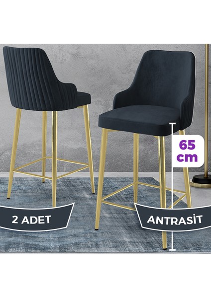Tera Serisi 2 Adet Antrasit Babyface Kumaş 65 cm Gold Kaplama Ayaklı Bar Sandalyesi
