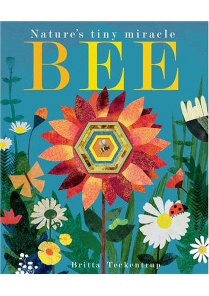 Group Bee modelleri