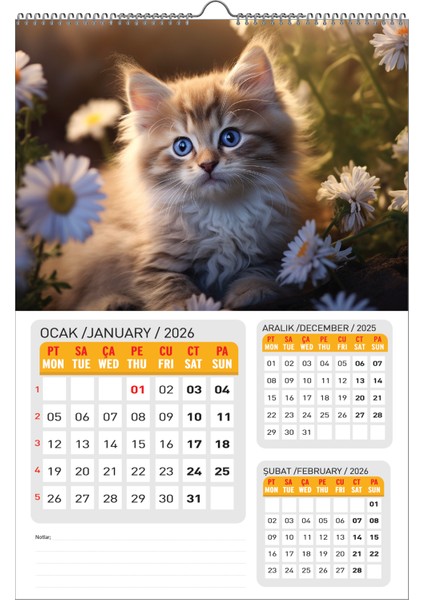 2026 Kedi Duvar TAKVİMİ-33X48 cm Ebat- Planlama Seçeneği Ile Birlikte