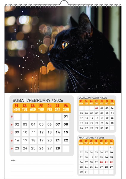 2026 Kedi Duvar TAKVİMİ-33X48 cm Ebat- Planlama Seçeneği Ile Birlikte fiyatları