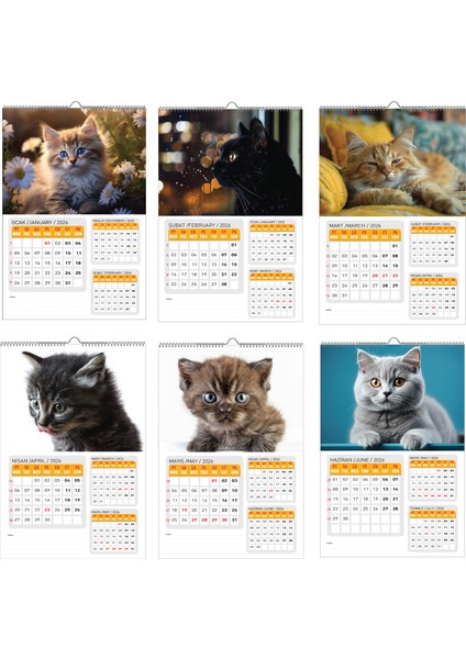 2026 Kedi Duvar TAKVİMİ-33X48 cm Ebat- Planlama Seçeneği Ile Birlikte indirimleri
