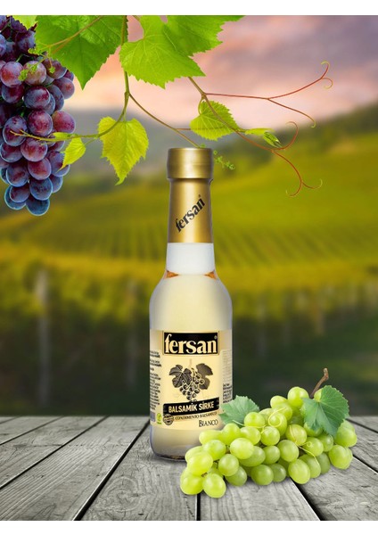 Balsamik Sirke Condimento Bianco 250 ml x 12 Adet fiyatları