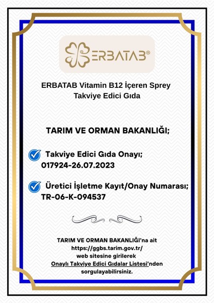 Metilkobalamin B12 Sprey - 10 ml, 1 Adet, Sıvı Form, Türkiye Menşeli Takviye Edici Gıda